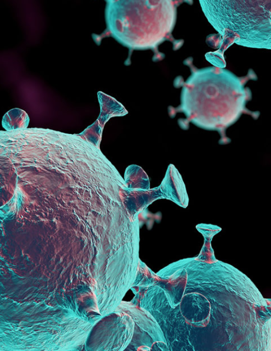 VIRUS-Vsm